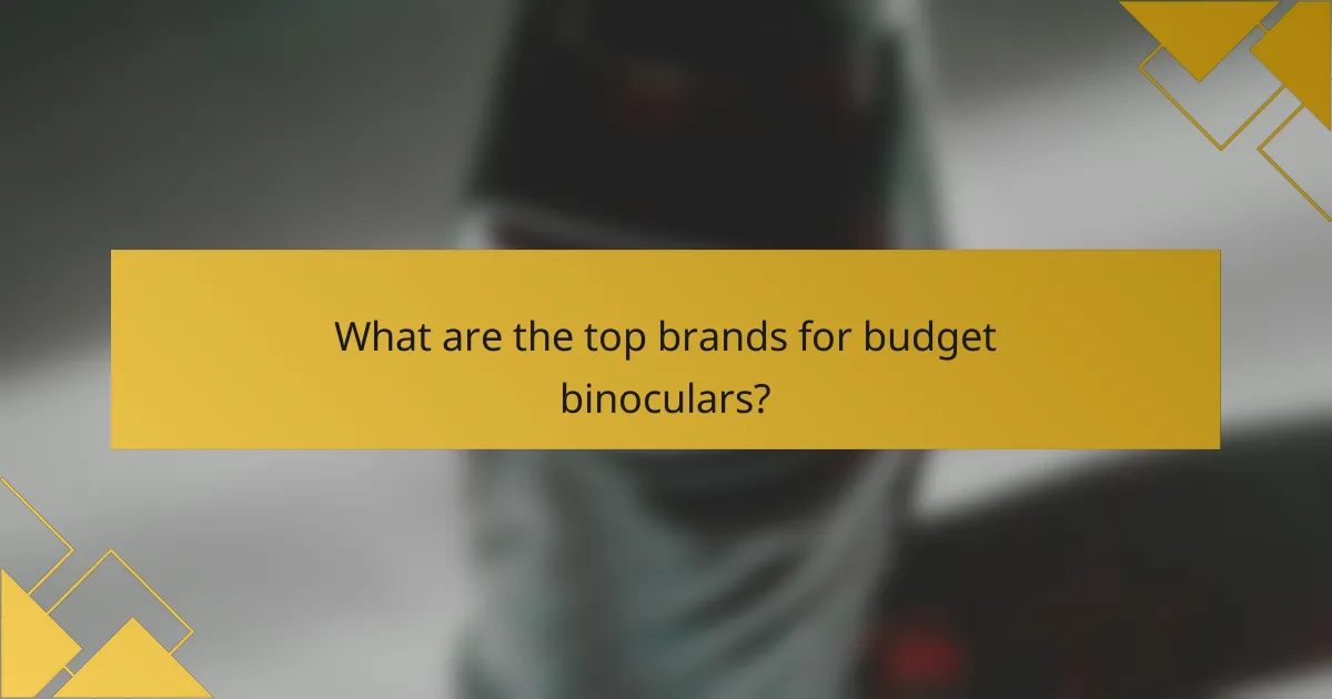 What are the top brands for budget binoculars?